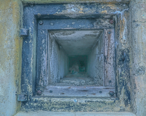 Tiled Image