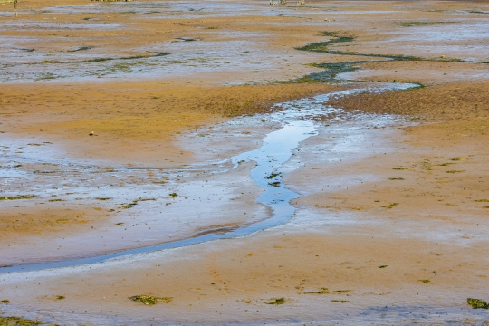 Tiled Image