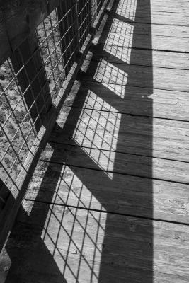 Tiled Image
