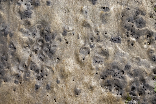 Tiled Image