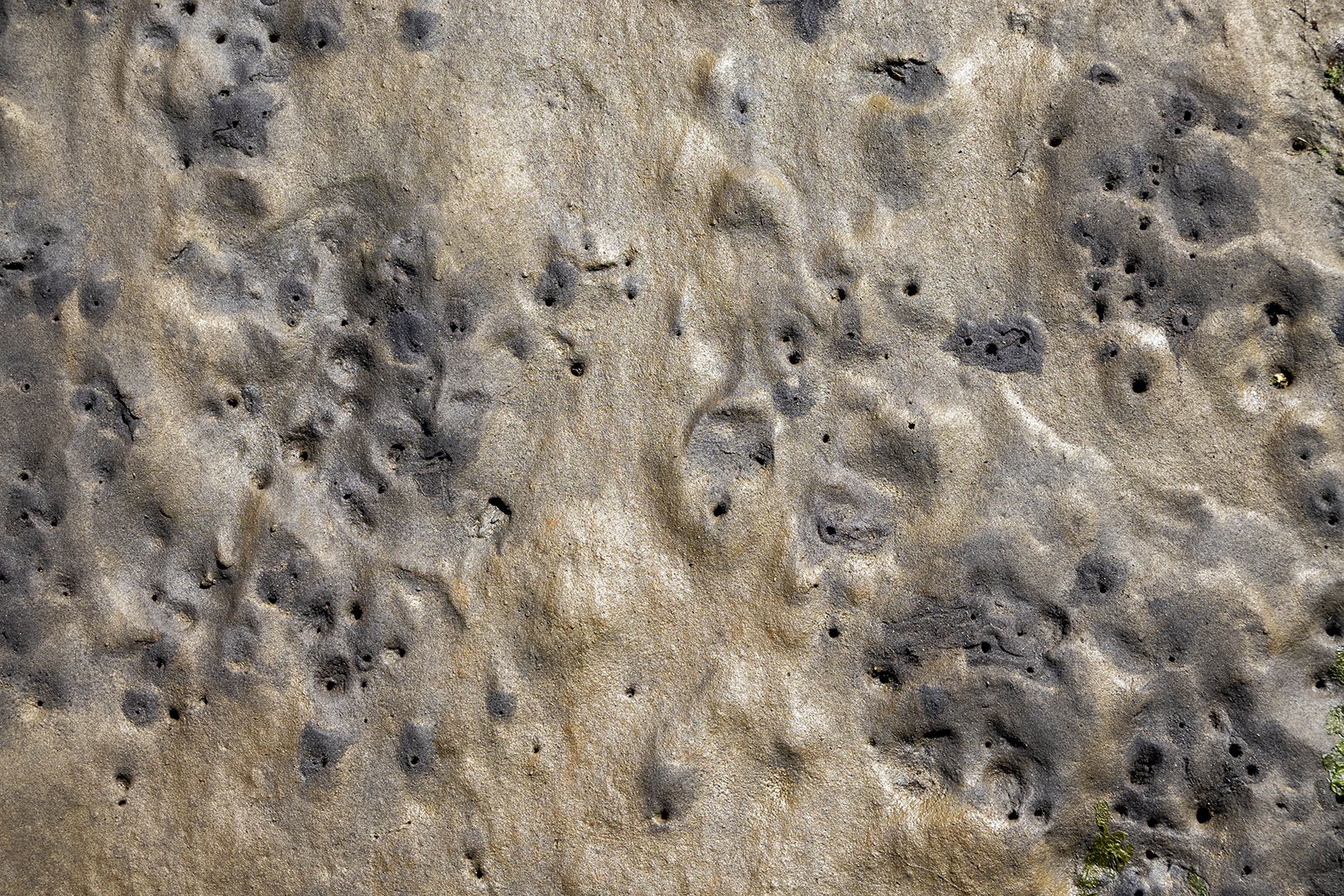 Tiled Image