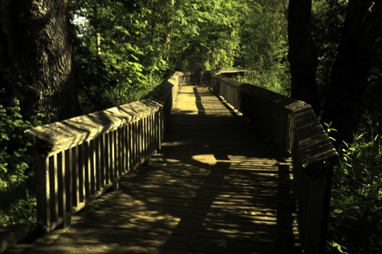Tiled Image