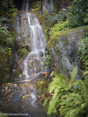 Tiled Image